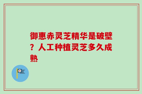 御惠赤灵芝精华是破壁?人工种植灵芝多久成熟 御惠赤灵芝精华是破壁?人工种植灵芝多久成熟