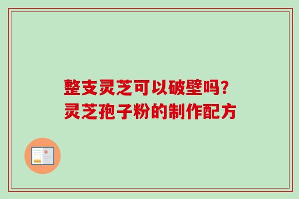 整支灵芝可以破壁吗？灵芝孢子粉的制作配方