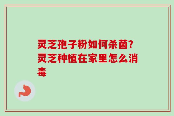 灵芝孢子粉如何杀菌？灵芝种植在家里怎么消毒