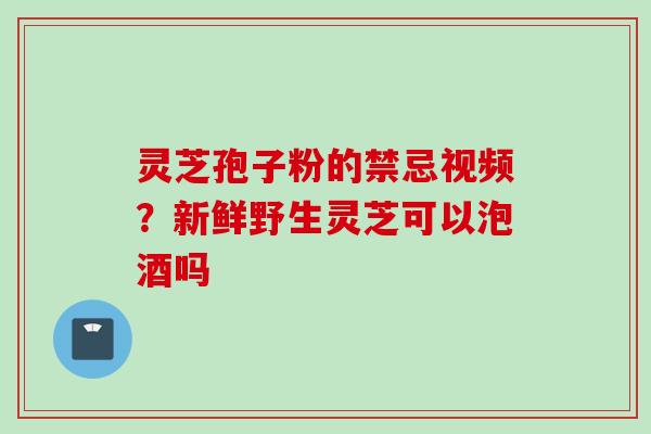 灵芝孢子粉的禁忌视频？新鲜野生灵芝可以泡酒吗