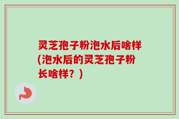 灵芝孢子粉泡水后啥样(泡水后的灵芝孢子粉长啥样？)