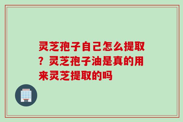 灵芝孢子自己怎么提取?灵芝孢子油是真的用来灵芝提取的吗 灵芝孢子自己怎么提取?灵芝孢子油是真的用来灵芝提取的吗
