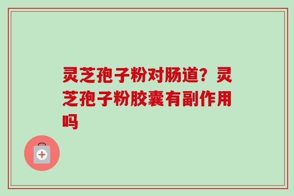 灵芝孢子粉对肠道？灵芝孢子粉胶囊有副作用吗