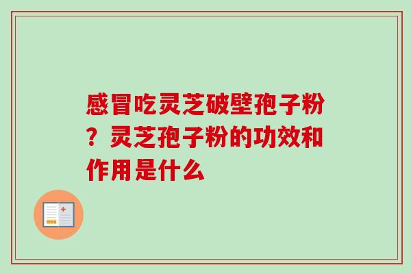 感冒吃灵芝破壁孢子粉？灵芝孢子粉的功效和作用是什么