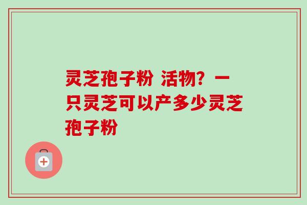 灵芝孢子粉 活物？一只灵芝可以产多少灵芝孢子粉