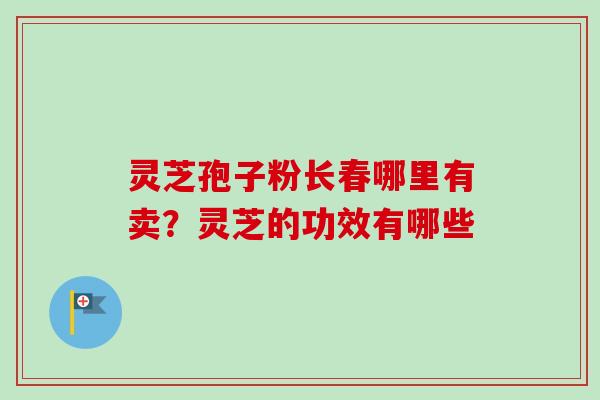 灵芝孢子粉长春哪里有卖？灵芝的功效有哪些