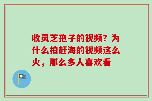 收灵芝孢子的视频?为什么拍赶海的视频这么火,那么多人喜欢看 收灵芝孢子的视频?为什么拍赶海的视频这么火,那么多人喜欢看