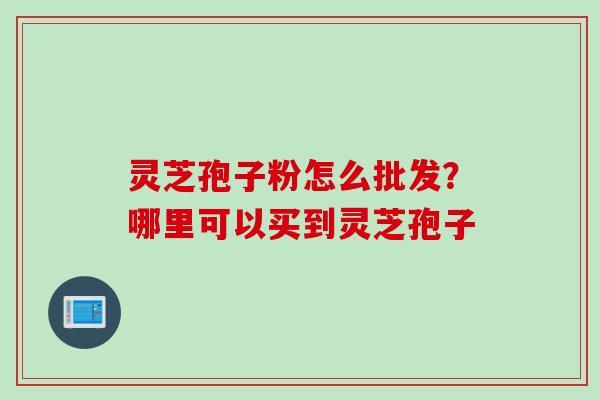 灵芝孢子粉怎么批发？哪里可以买到灵芝孢子