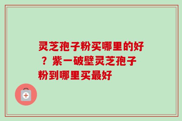 灵芝孢子粉买哪里的好 ？紫一破壁灵芝孢子粉到哪里买最好