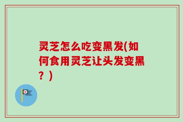 灵芝怎么吃变黑发(如何食用灵芝让头发变黑？)