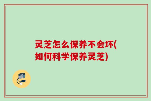 灵芝怎么保养不会坏(如何科学保养灵芝)