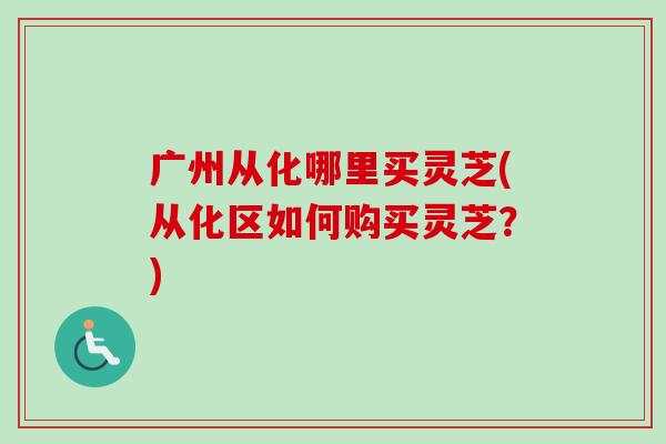 广州从化哪里买灵芝(从化区如何购买灵芝？)