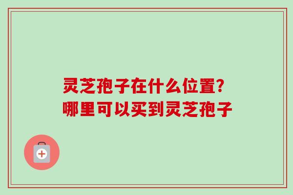 灵芝孢子在什么位置？哪里可以买到灵芝孢子
