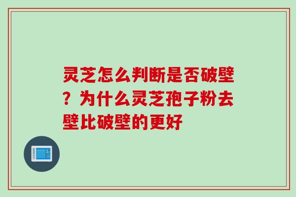 灵芝怎么判断是否破壁？为什么灵芝孢子粉去壁比破壁的更好