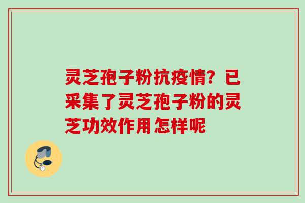 灵芝孢子粉抗疫情?已采集了灵芝孢子粉的灵芝功效作用怎样呢 灵芝孢子粉抗疫情?已采集了灵芝孢子粉的灵芝功效作用怎样呢