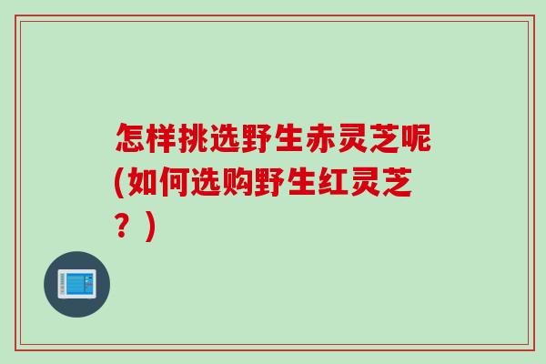 怎样挑选野生赤灵芝呢(如何选购野生红灵芝？)