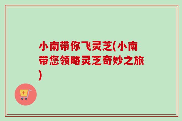小南带你飞灵芝(小南带您领略灵芝奇妙之旅)