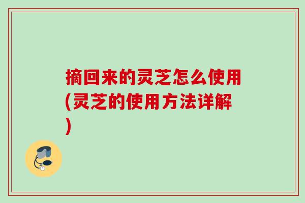 摘回来的灵芝怎么使用(灵芝的使用方法详解)