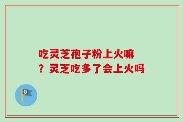 吃灵芝孢子粉上火嘛 ？灵芝吃多了会上火吗