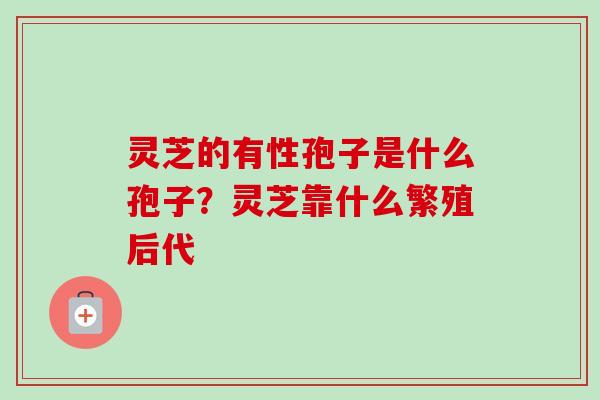 灵芝的有性孢子是什么孢子？灵芝靠什么繁殖后代