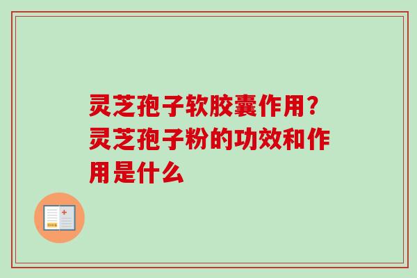 灵芝孢子软胶囊作用？灵芝孢子粉的功效和作用是什么