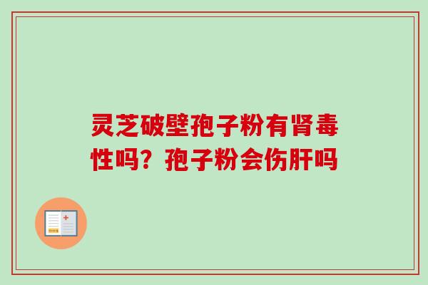 灵芝破壁孢子粉有肾毒性吗？孢子粉会伤肝吗