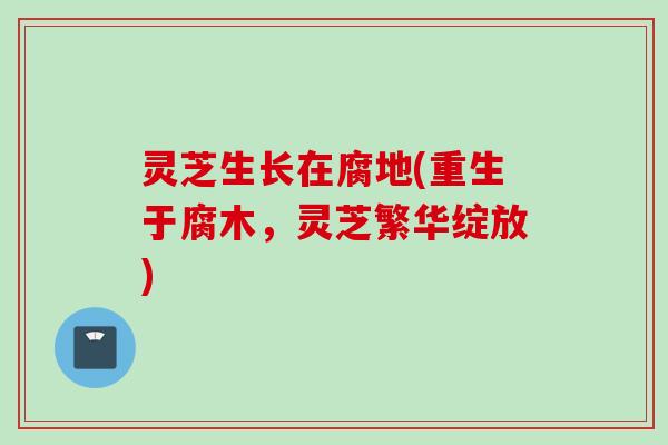灵芝生长在腐地(重生于腐木，灵芝繁华绽放)