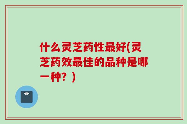 什么灵芝药性最好(灵芝药效最佳的品种是哪一种？)
