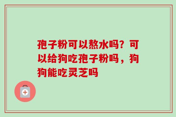 孢子粉可以熬水吗？可以给狗吃孢子粉吗，狗狗能吃灵芝吗