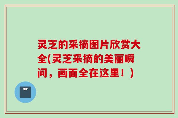 灵芝的采摘图片欣赏大全(灵芝采摘的美丽瞬间，画面全在这里！)