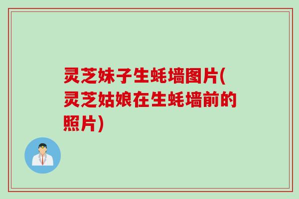 灵芝妹子生蚝墙图片(灵芝姑娘在生蚝墙前的照片)