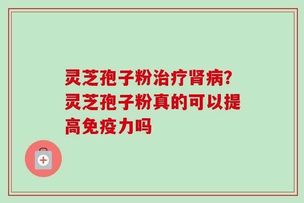 灵芝孢子粉治疗肾病？灵芝孢子粉真的可以提高免疫力吗