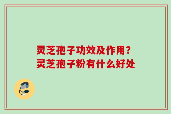 灵芝孢子功效及作用？灵芝孢子粉有什么好处