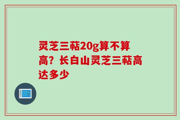 灵芝三萜20g算不算高？长白山灵芝三萜高达多少