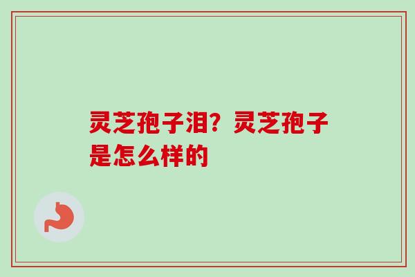 灵芝孢子泪?灵芝孢子是怎么样的 灵芝孢子泪?灵芝孢子是怎么样的