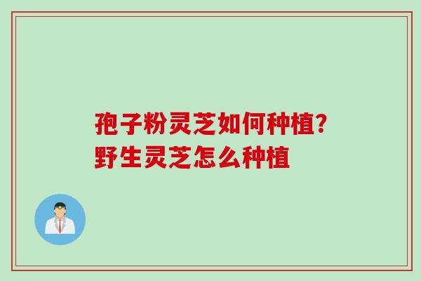 孢子粉灵芝如何种植？野生灵芝怎么种植
