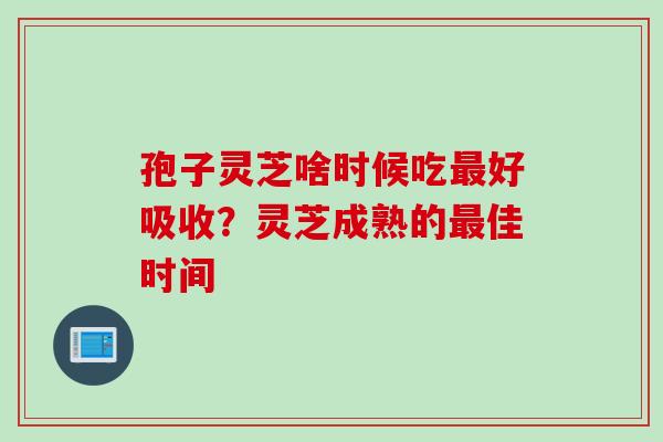 孢子灵芝啥时候吃最好吸收？灵芝成熟的最佳时间
