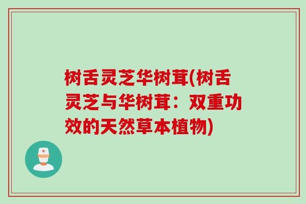 树舌灵芝华树茸(树舌灵芝与华树茸：双重功效的天然草本植物)