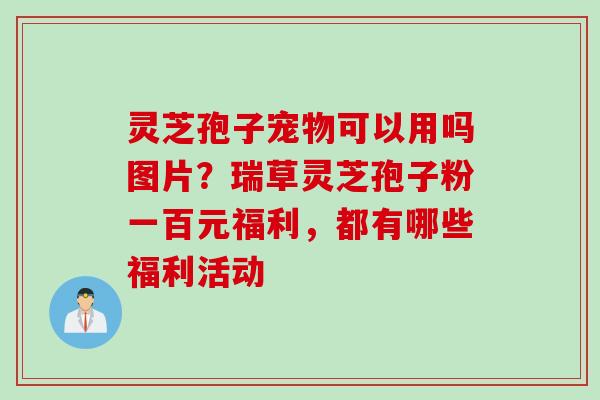 灵芝孢子宠物可以用吗图片？瑞草灵芝孢子粉一百元福利，都有哪些福利活动