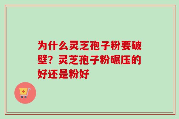 为什么灵芝孢子粉要破壁？灵芝孢子粉碾压的好还是粉好