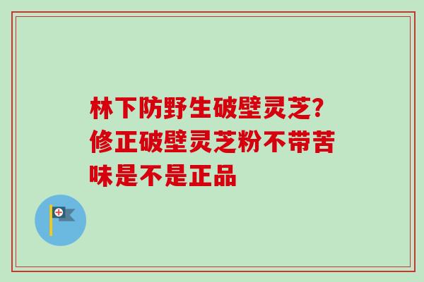 林下防野生破壁灵芝？修正破壁灵芝粉不带苦味是不是正品