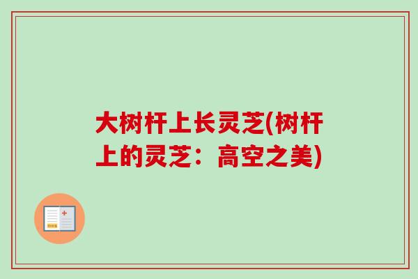 大树杆上长灵芝(树杆上的灵芝：高空之美)