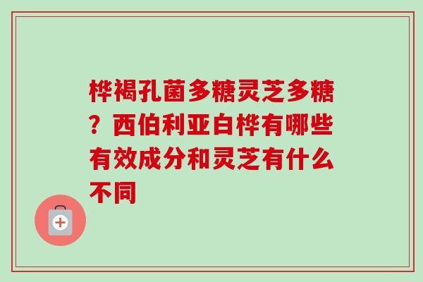 桦褐孔菌多糖灵芝多糖？西伯利亚白桦有哪些有效成分和灵芝有什么不同