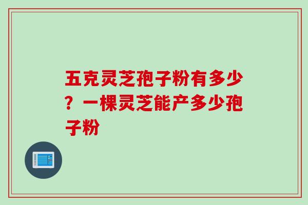 五克灵芝孢子粉有多少？一棵灵芝能产多少孢子粉