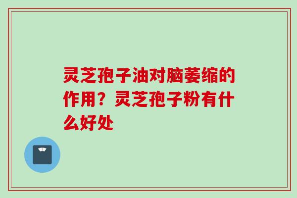 灵芝孢子油对脑萎缩的作用？灵芝孢子粉有什么好处