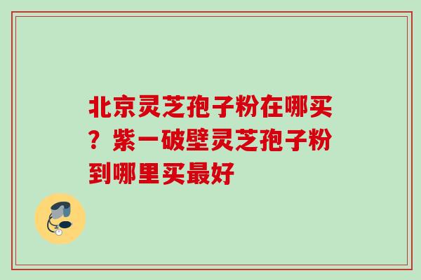 北京灵芝孢子粉在哪买？紫一破壁灵芝孢子粉到哪里买最好