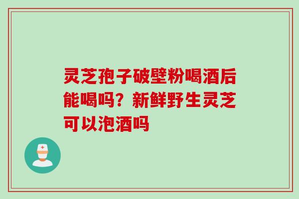 灵芝孢子破壁粉喝酒后能喝吗？新鲜野生灵芝可以泡酒吗