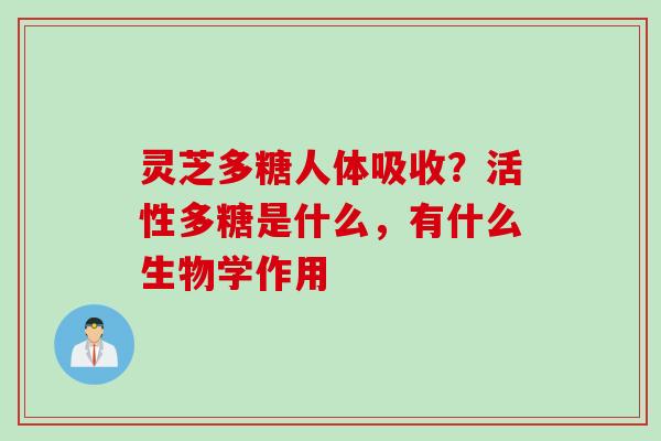 灵芝多糖人体吸收？活性多糖是什么，有什么生物学作用