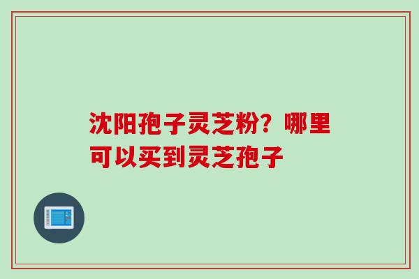 沈阳孢子灵芝粉？哪里可以买到灵芝孢子