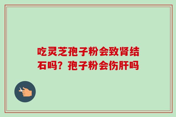 吃灵芝孢子粉会致肾结石吗？孢子粉会伤肝吗